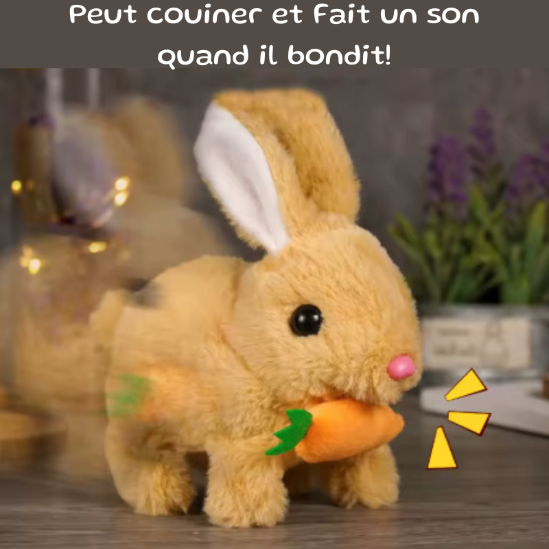 Lapin Fluffinou™️